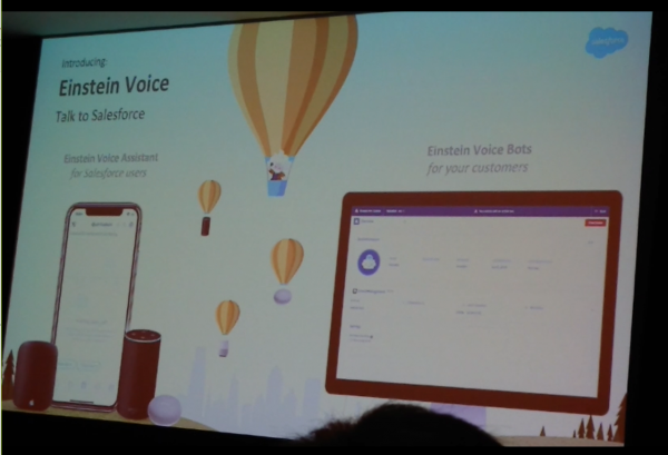 『Einstein voice』の主な機能