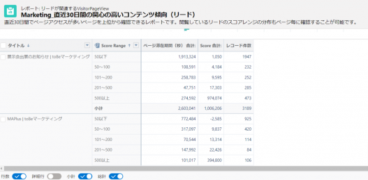 3-2_ページごとのアクセスランキング_詳細.png