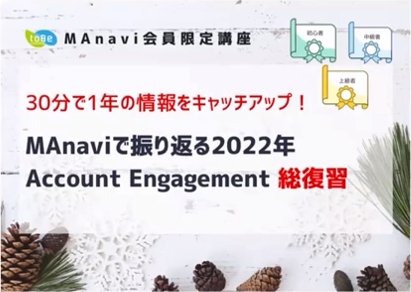 IT超初心者が、Pardotスペシャリストに合格した話③ ～MAnavi編②～_003.png
