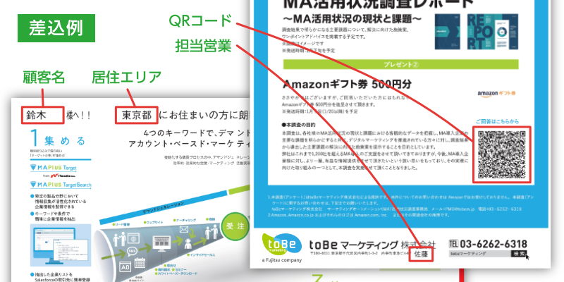 Maplus _directmail.png