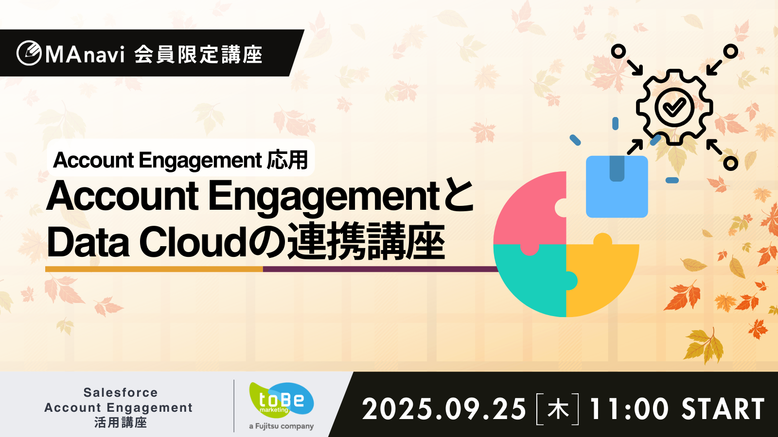 MAnavi 講座 | 運用担当者のためのAccount Engagement 削除ルール講座